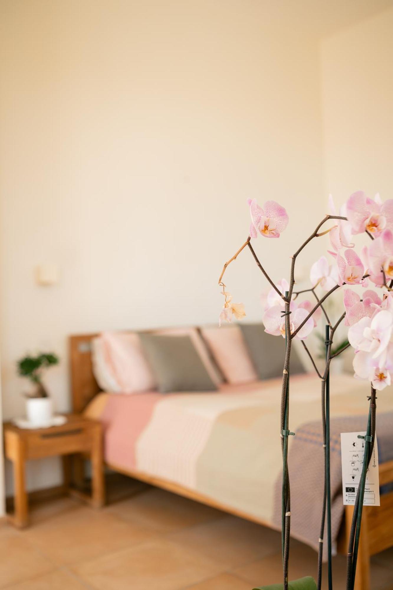 איסקיה Tenuta Calitto Wine Resort E Spa מראה חיצוני תמונה