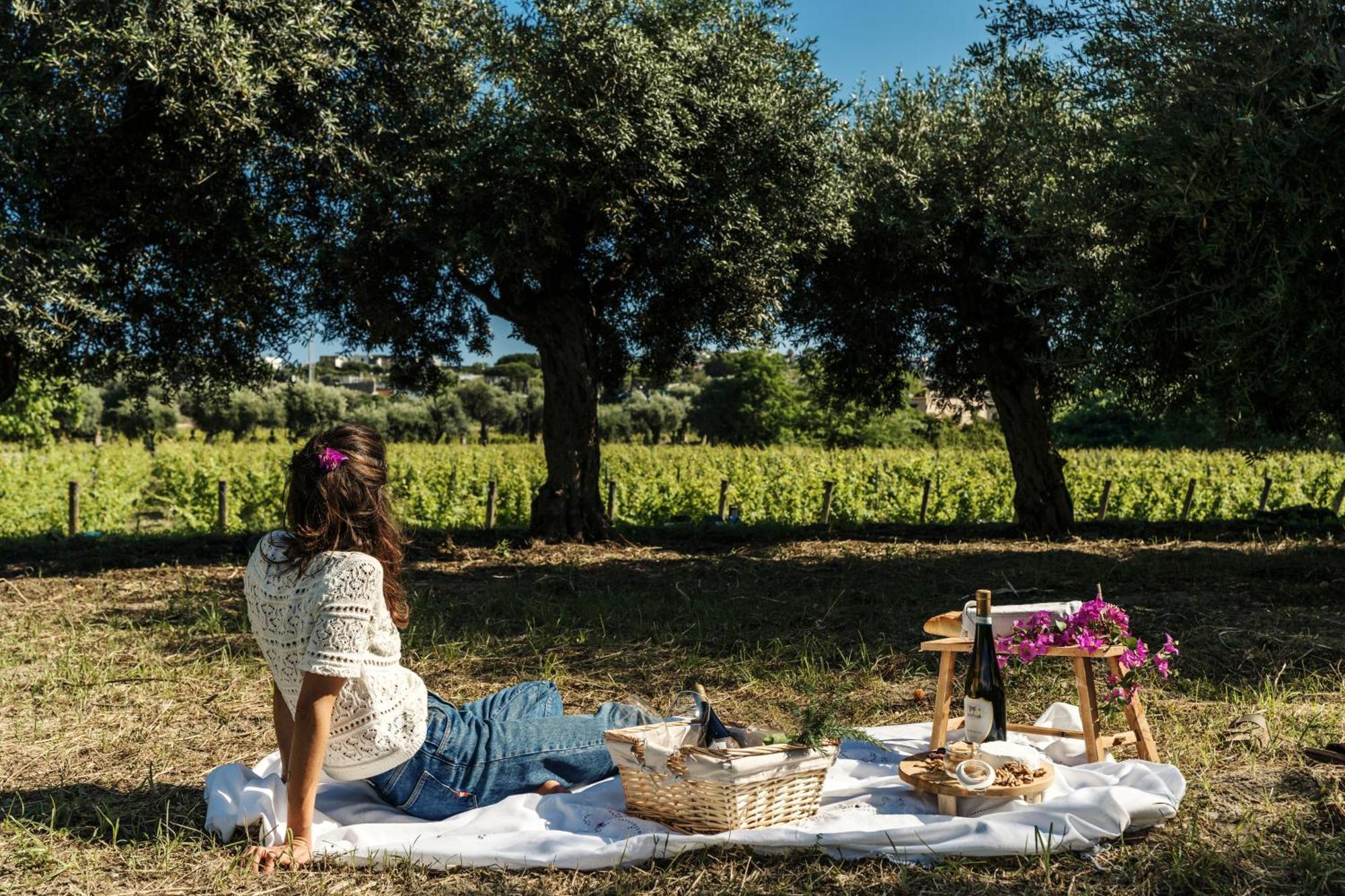 איסקיה Tenuta Calitto Wine Resort E Spa מראה חיצוני תמונה