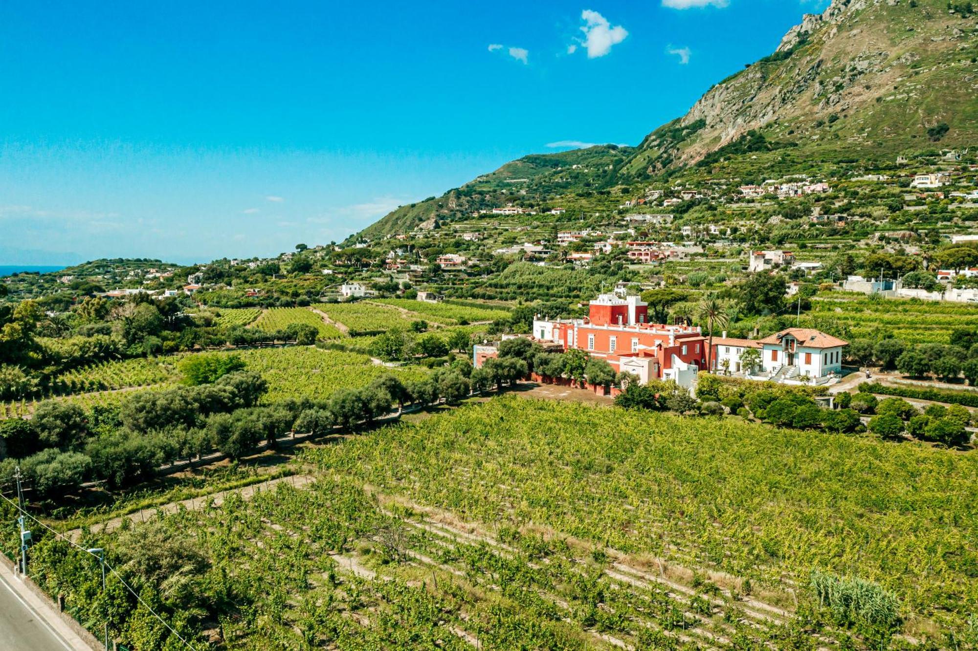 איסקיה Tenuta Calitto Wine Resort E Spa מראה חיצוני תמונה
