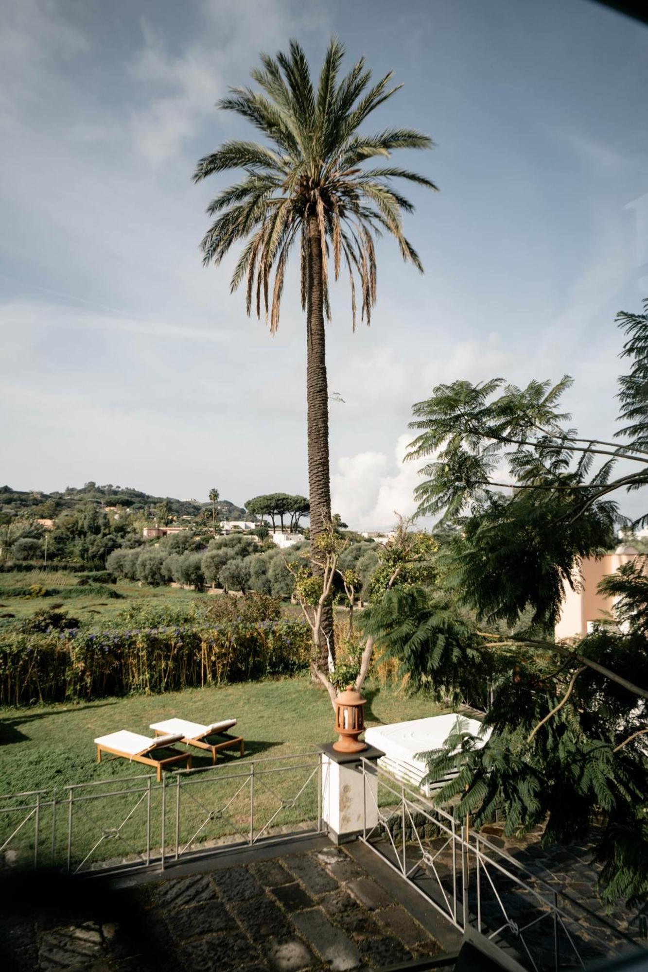 איסקיה Tenuta Calitto Wine Resort E Spa מראה חיצוני תמונה