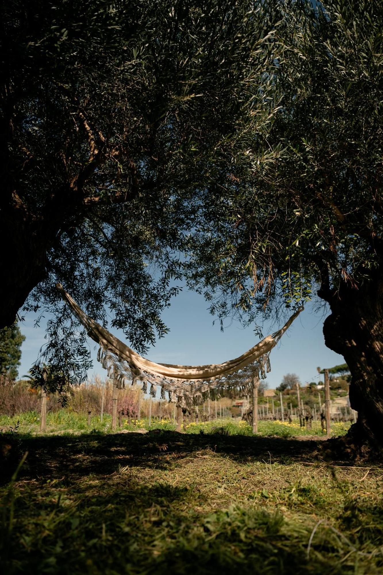 איסקיה Tenuta Calitto Wine Resort E Spa מראה חיצוני תמונה